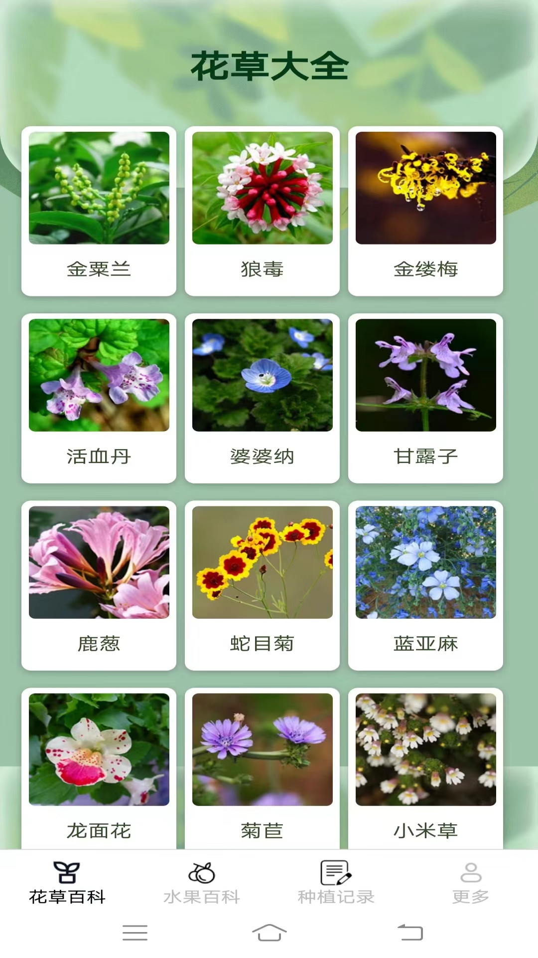 妙手花园截图2