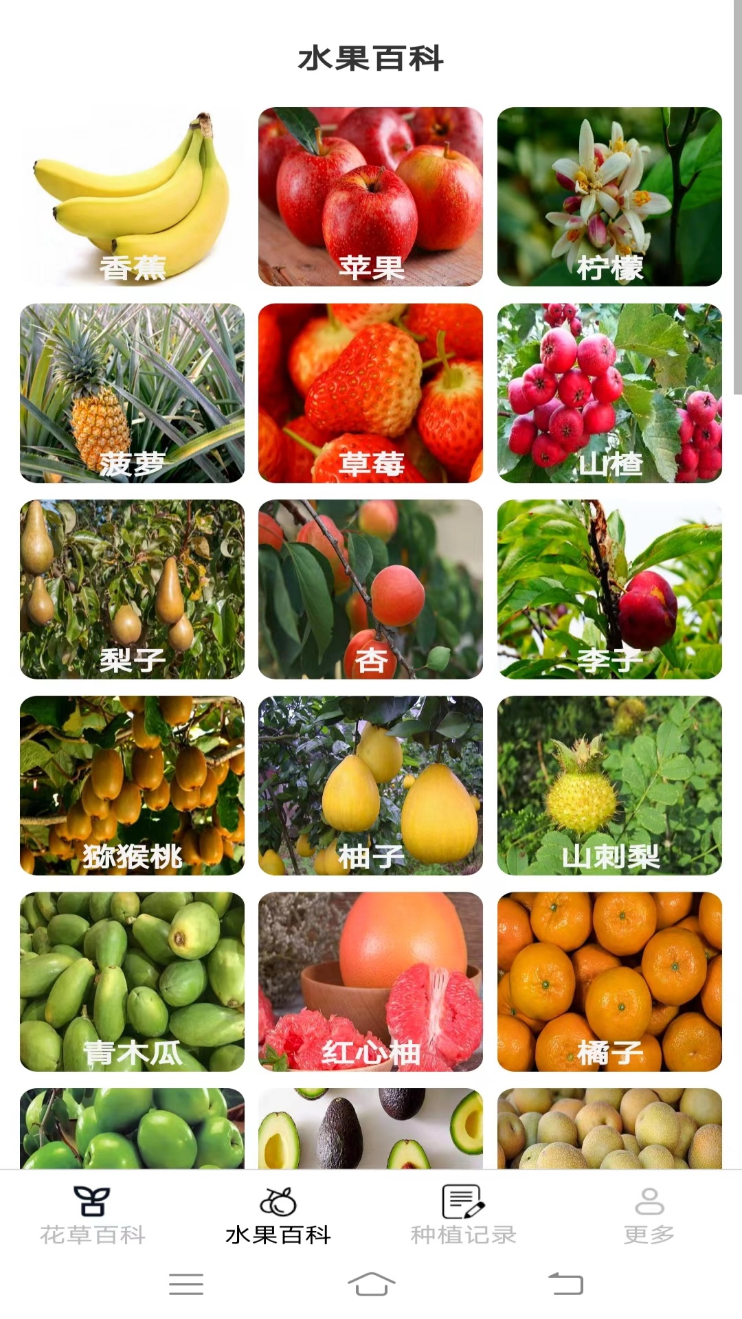 妙手花园截图3