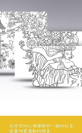 涂色大师截图2