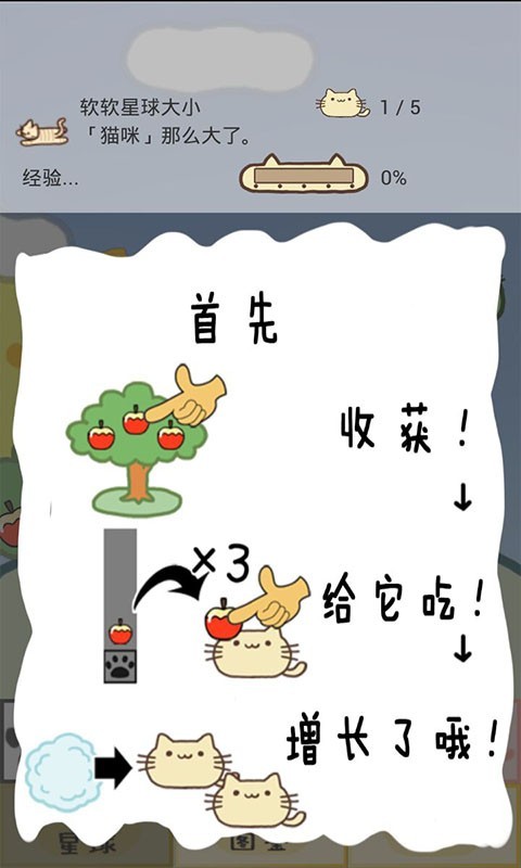 萌萌猫咪养成记截图2