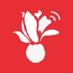 爱上海