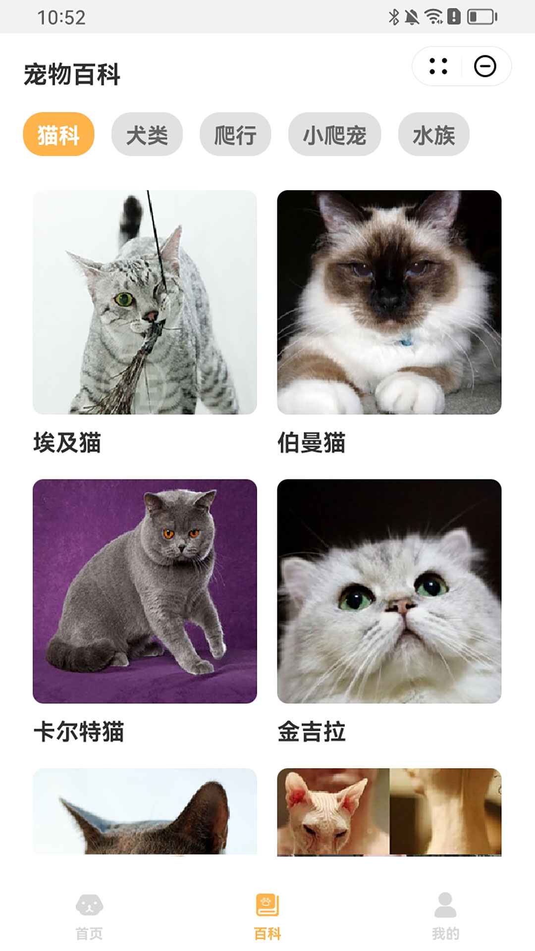 哼哼截图2