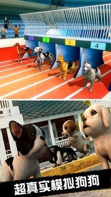 我的萌宠世界模拟狗截图2