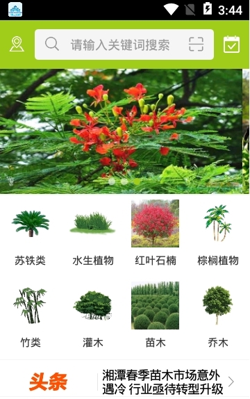 中国苗木交易市场截图3