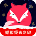 飞狐视频下载器去水印版