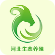 河北生态山猪
