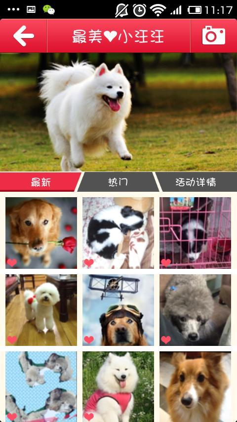 好狗狗身边截图2