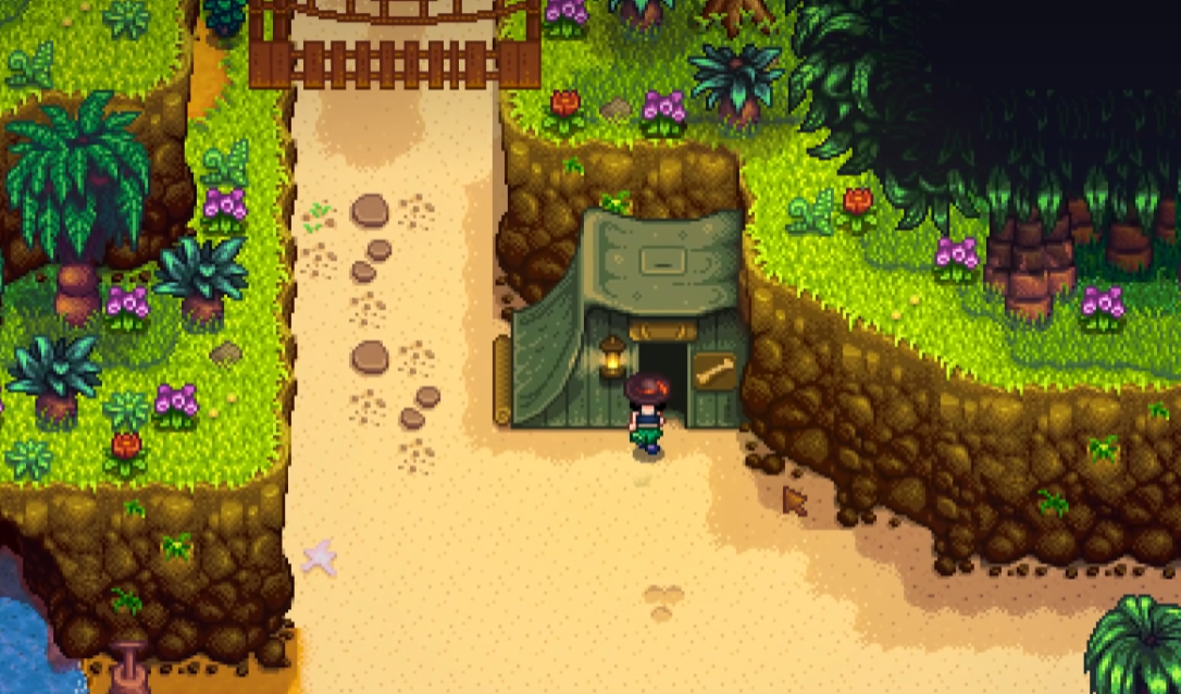 星露谷物语姜岛博物馆怎么开