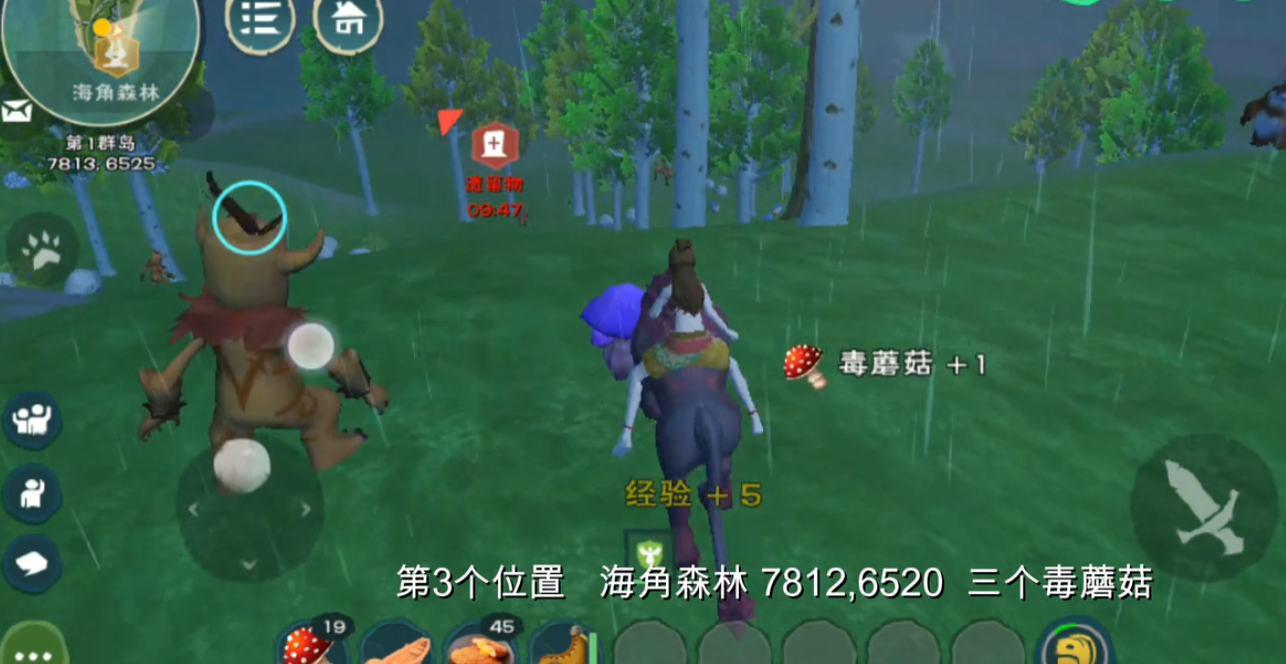 创造与魔法蘑菇在哪