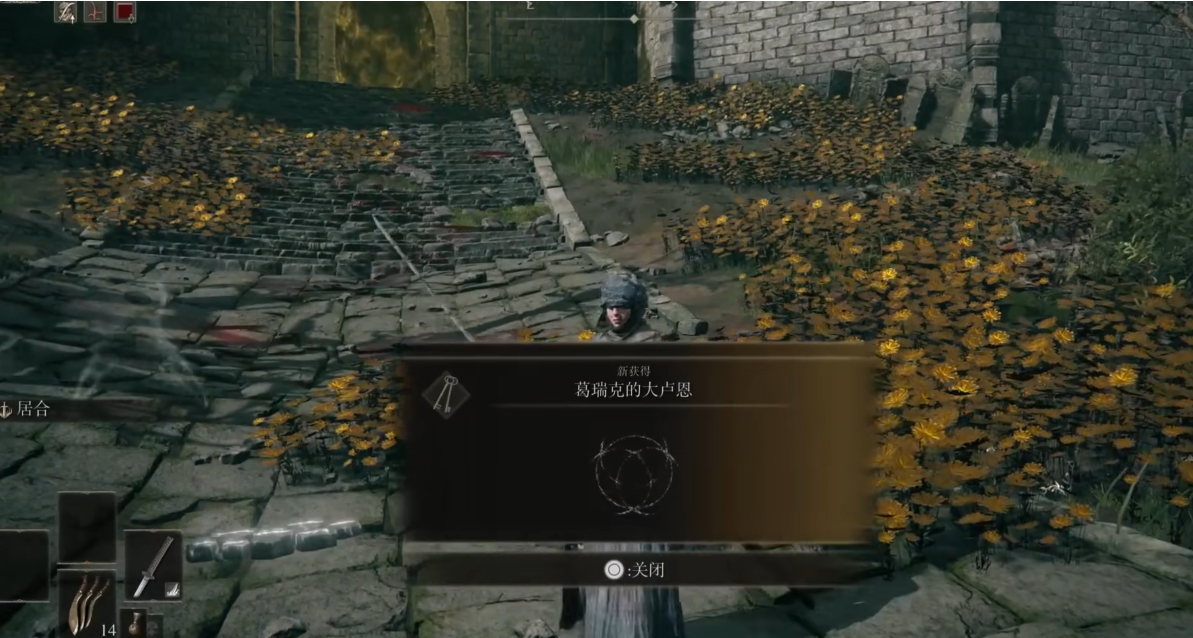 艾尔登法环大卢恩推荐什么