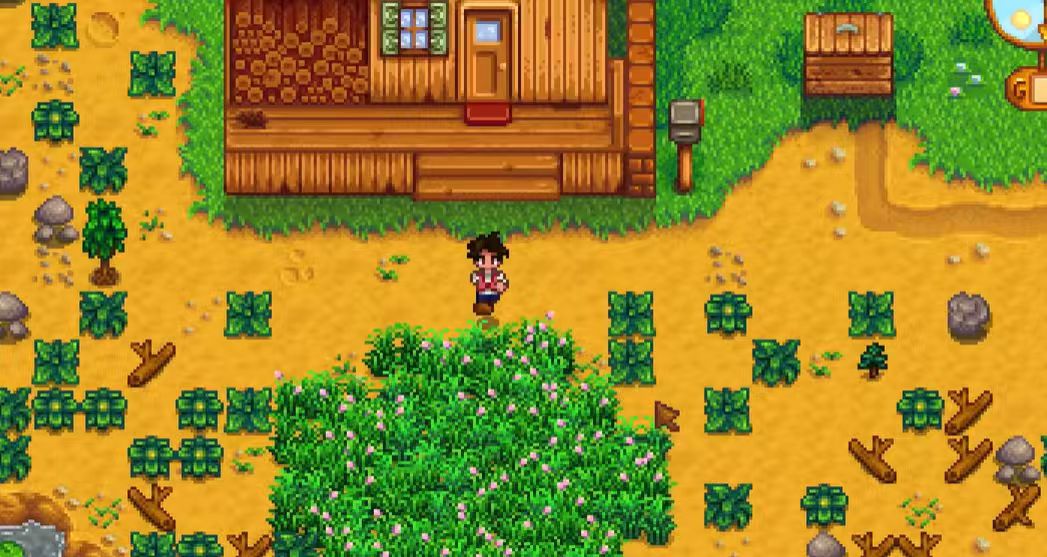 星露谷物语入门任务怎么过