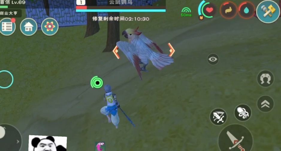 创造与魔法鹦鸟位置哪里刷新率高