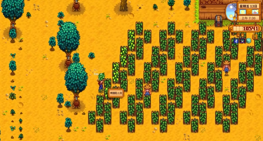 星露谷物语夏天干什么好