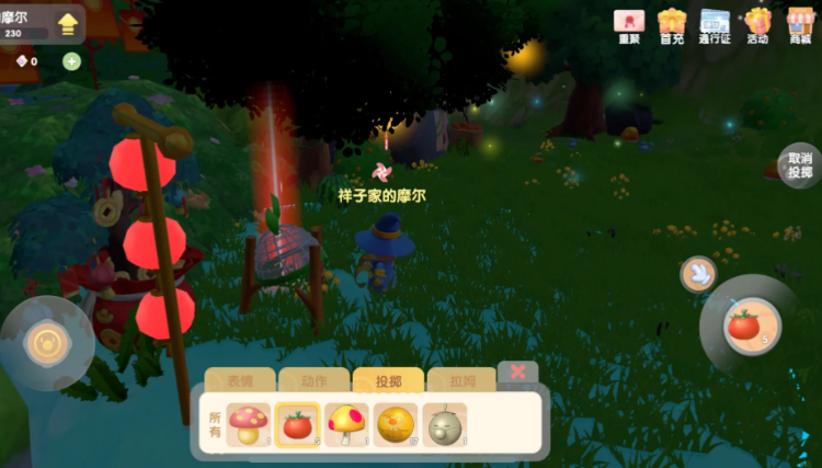 摩尔庄园水球和番茄怎么用