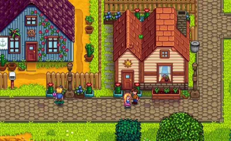 星露谷物语海莉问题一天都干什么