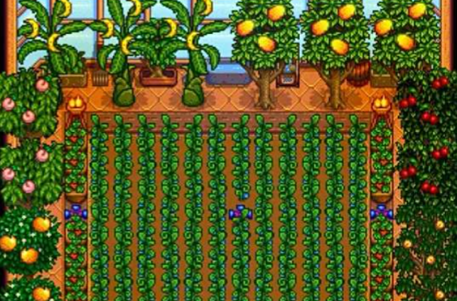 星露谷物语树种哪里好