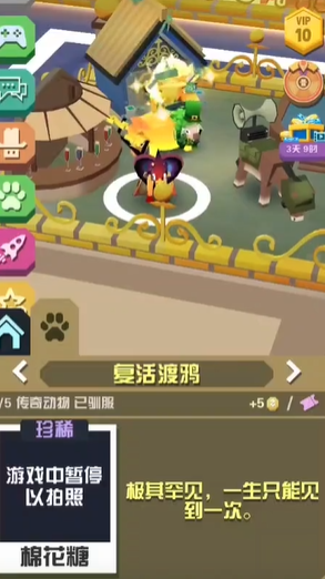 疯狂动物园复活鸟怎么抓