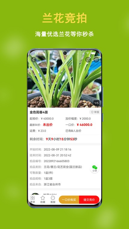 中国兰花交易网截图2