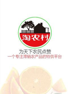 淘农村截图1