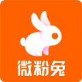 微粉兔
