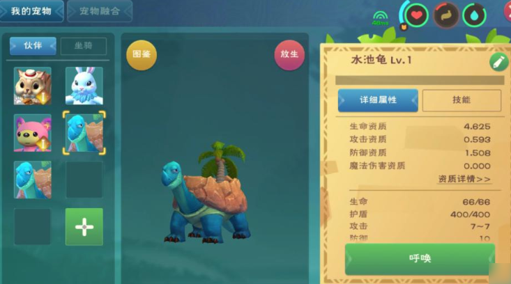 创造与魔法水龟吃什么