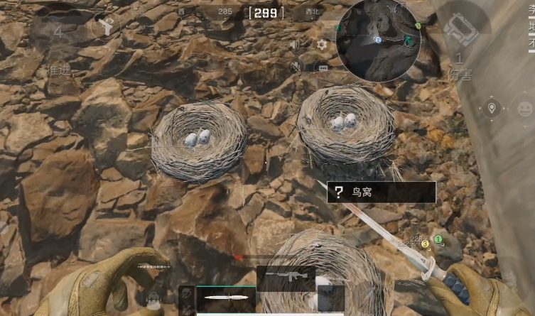 三角洲行动鸟蛋在哪里