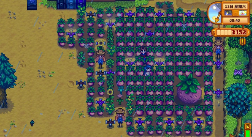 星露谷物语甜瓜怎么处理